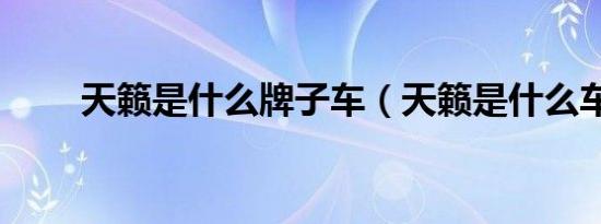 天籁是什么牌子车（天籁是什么车）
