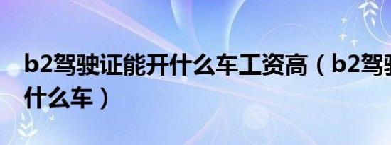 b2驾驶证能开什么车工资高（b2驾驶证能开什么车）