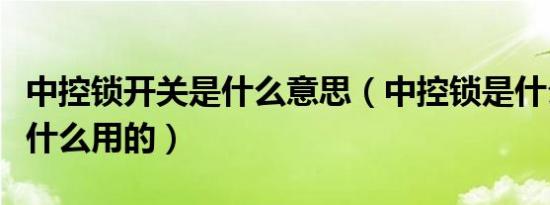 中控锁开关是什么意思（中控锁是什么意思干什么用的）