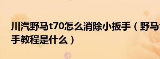 川汽野马t70怎么消除小扳手（野马t70小扳手教程是什么）