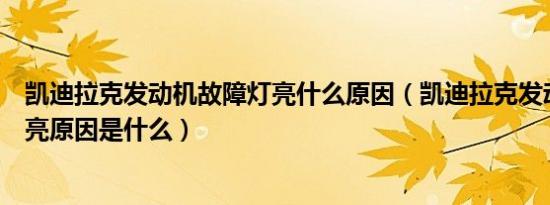 凯迪拉克发动机故障灯亮什么原因（凯迪拉克发动机故障灯亮原因是什么）