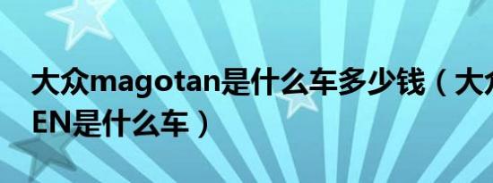 大众magotan是什么车多少钱（大众DANTEN是什么车）