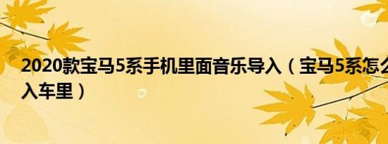 2020款宝马5系手机里面音乐导入（宝马5系怎么把音乐导入车里）