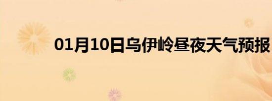 01月10日乌伊岭昼夜天气预报