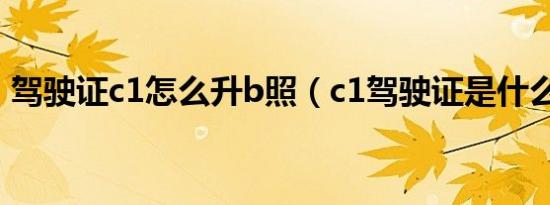 驾驶证c1怎么升b照（c1驾驶证是什么意思）