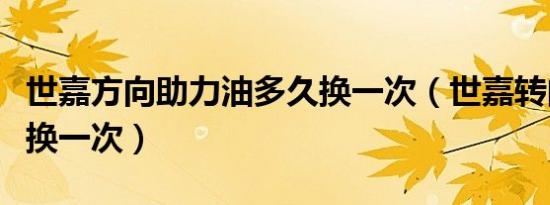 世嘉方向助力油多久换一次（世嘉转向油多久换一次）