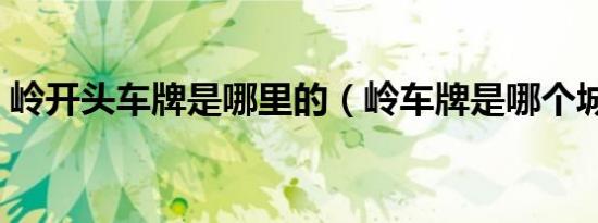 岭开头车牌是哪里的（岭车牌是哪个城市的）