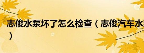 志俊水泵坏了怎么检查（志俊汽车水泵多久换）