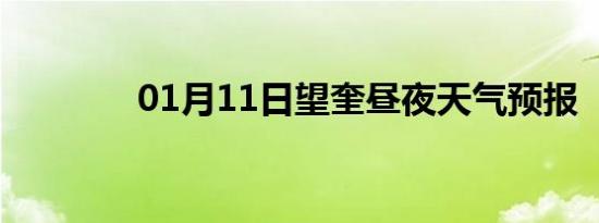 01月11日望奎昼夜天气预报