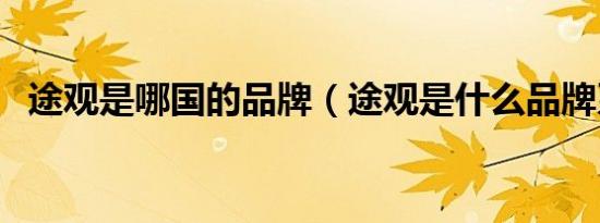 途观是哪国的品牌（途观是什么品牌系列）