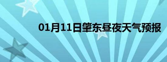 01月11日肇东昼夜天气预报