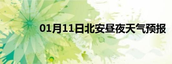 01月11日北安昼夜天气预报