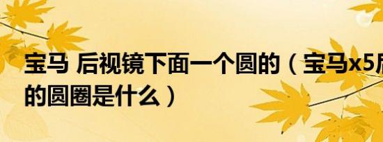宝马 后视镜下面一个圆的（宝马x5后视镜下的圆圈是什么）