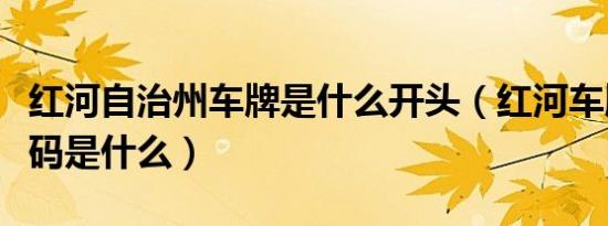 红河自治州车牌是什么开头（红河车牌字母代码是什么）