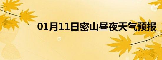 01月11日密山昼夜天气预报