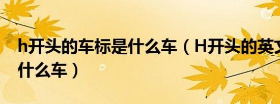 h开头的车标是什么车（H开头的英文车标是什么车）