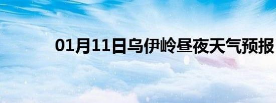 01月11日乌伊岭昼夜天气预报