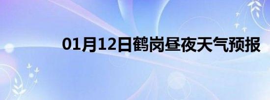 01月12日鹤岗昼夜天气预报