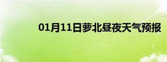 01月11日萝北昼夜天气预报
