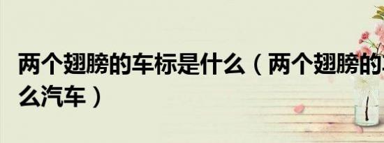 两个翅膀的车标是什么（两个翅膀的车标是什么汽车）