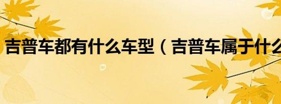 吉普车都有什么车型（吉普车属于什么车型）