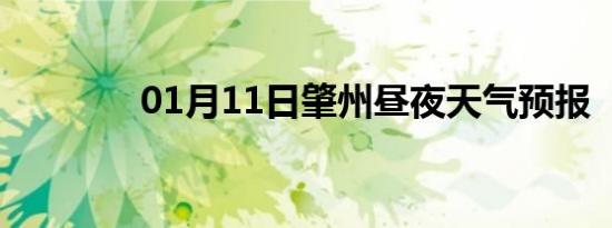 01月11日肇州昼夜天气预报