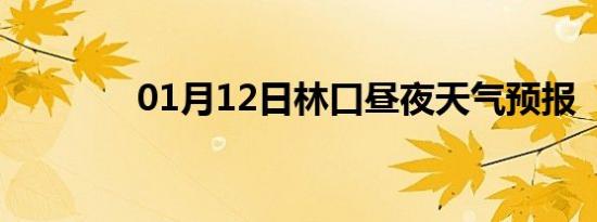 01月12日林口昼夜天气预报
