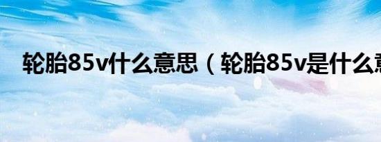 轮胎85v什么意思（轮胎85v是什么意思）
