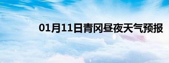 01月11日青冈昼夜天气预报