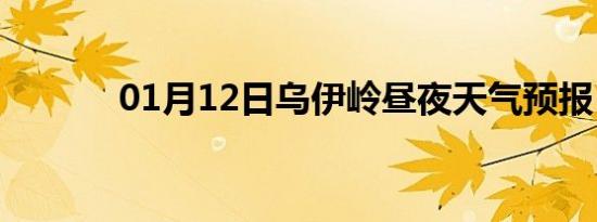 01月12日乌伊岭昼夜天气预报