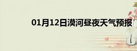 01月12日漠河昼夜天气预报
