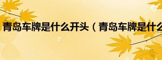青岛车牌是什么开头（青岛车牌是什么开头）