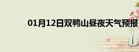 01月12日双鸭山昼夜天气预报