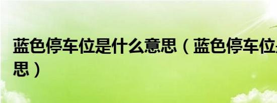 蓝色停车位是什么意思（蓝色停车位是什么意思）