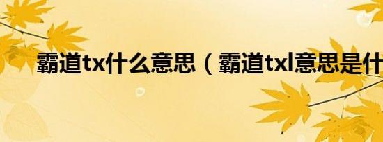 霸道tx什么意思（霸道txl意思是什么）