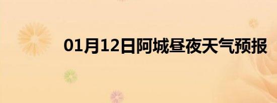 01月12日阿城昼夜天气预报