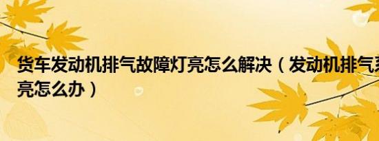 货车发动机排气故障灯亮怎么解决（发动机排气系统故障灯亮怎么办）