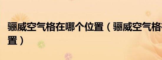 骊威空气格在哪个位置（骊威空气格在哪个位置）