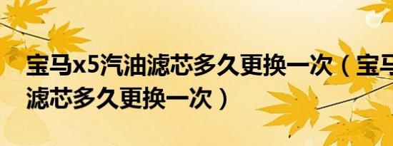 宝马x5汽油滤芯多久更换一次（宝马x5汽油滤芯多久更换一次）
