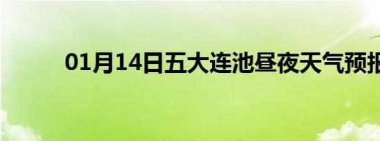 01月14日五大连池昼夜天气预报