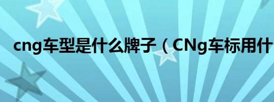 cng车型是什么牌子（CNg车标用什么好）