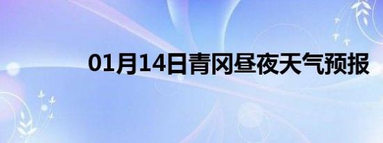 01月14日青冈昼夜天气预报