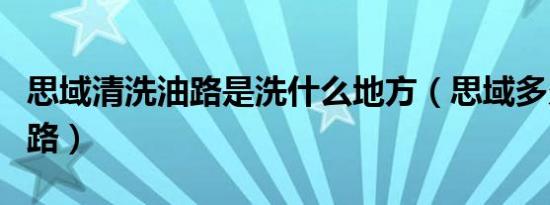 思域清洗油路是洗什么地方（思域多久清洗油路）