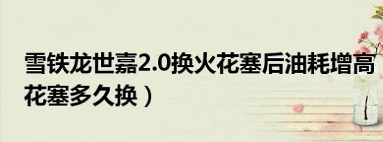 雪铁龙世嘉2.0换火花塞后油耗增高（世嘉火花塞多久换）