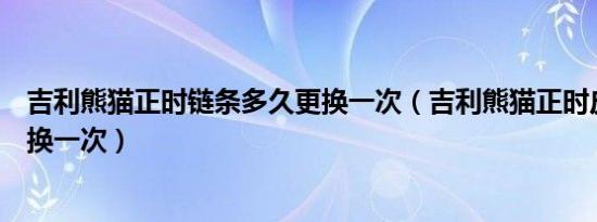 吉利熊猫正时链条多久更换一次（吉利熊猫正时皮带多久更换一次）