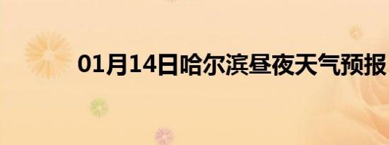01月14日哈尔滨昼夜天气预报