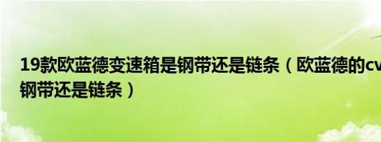 19款欧蓝德变速箱是钢带还是链条（欧蓝德的cvt变速箱是钢带还是链条）