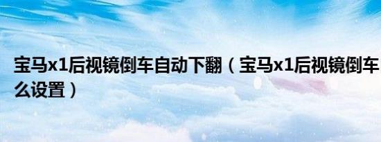 宝马x1后视镜倒车自动下翻（宝马x1后视镜倒车自动下翻怎么设置）