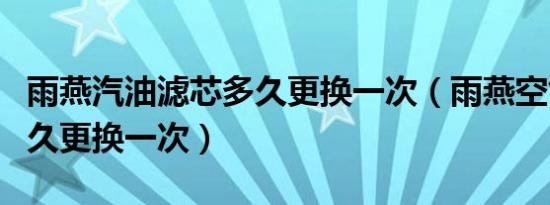 雨燕汽油滤芯多久更换一次（雨燕空气滤芯多久更换一次）