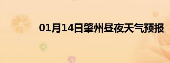 01月14日肇州昼夜天气预报